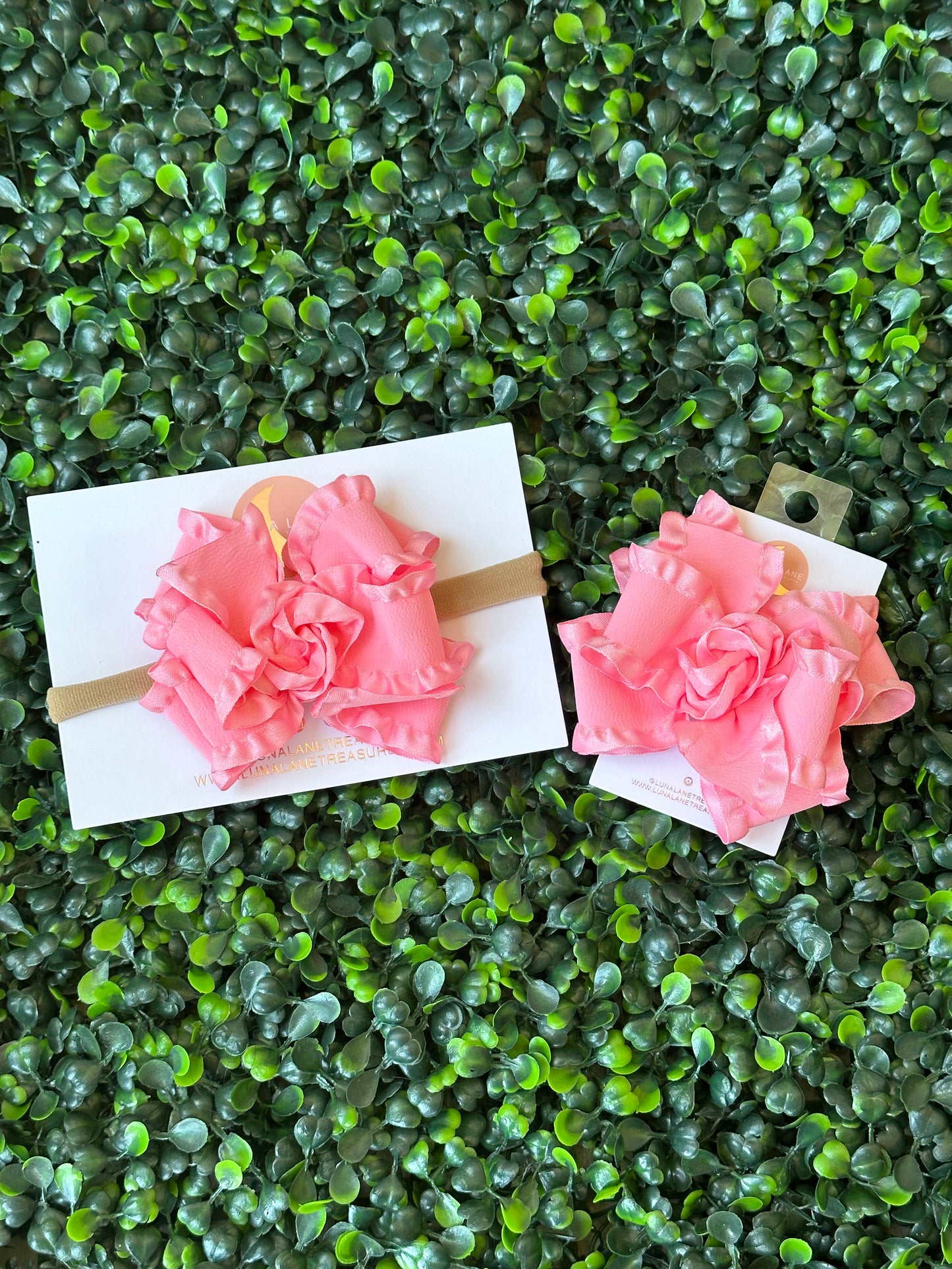 Rosa klassische mittelgroße Rüsche