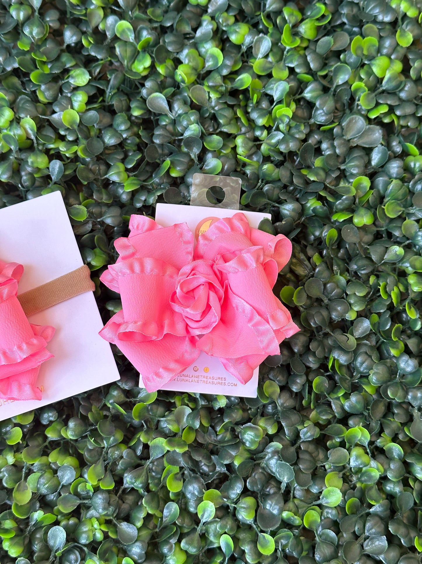 Rosa klassische mittelgroße Rüsche