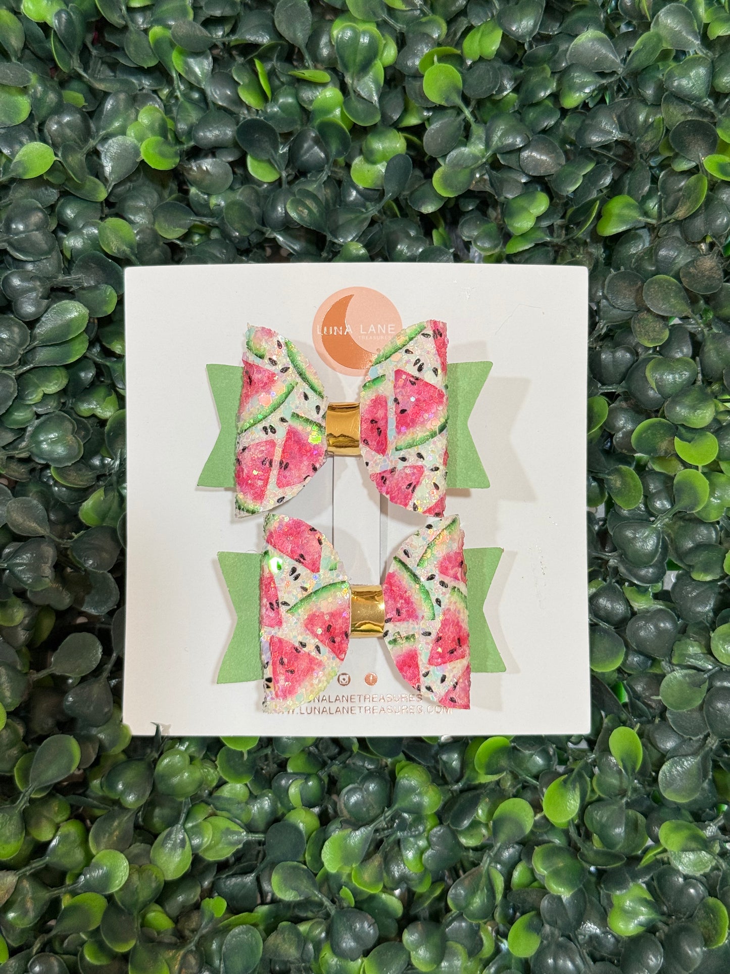 Watermelon Bow Pigtails