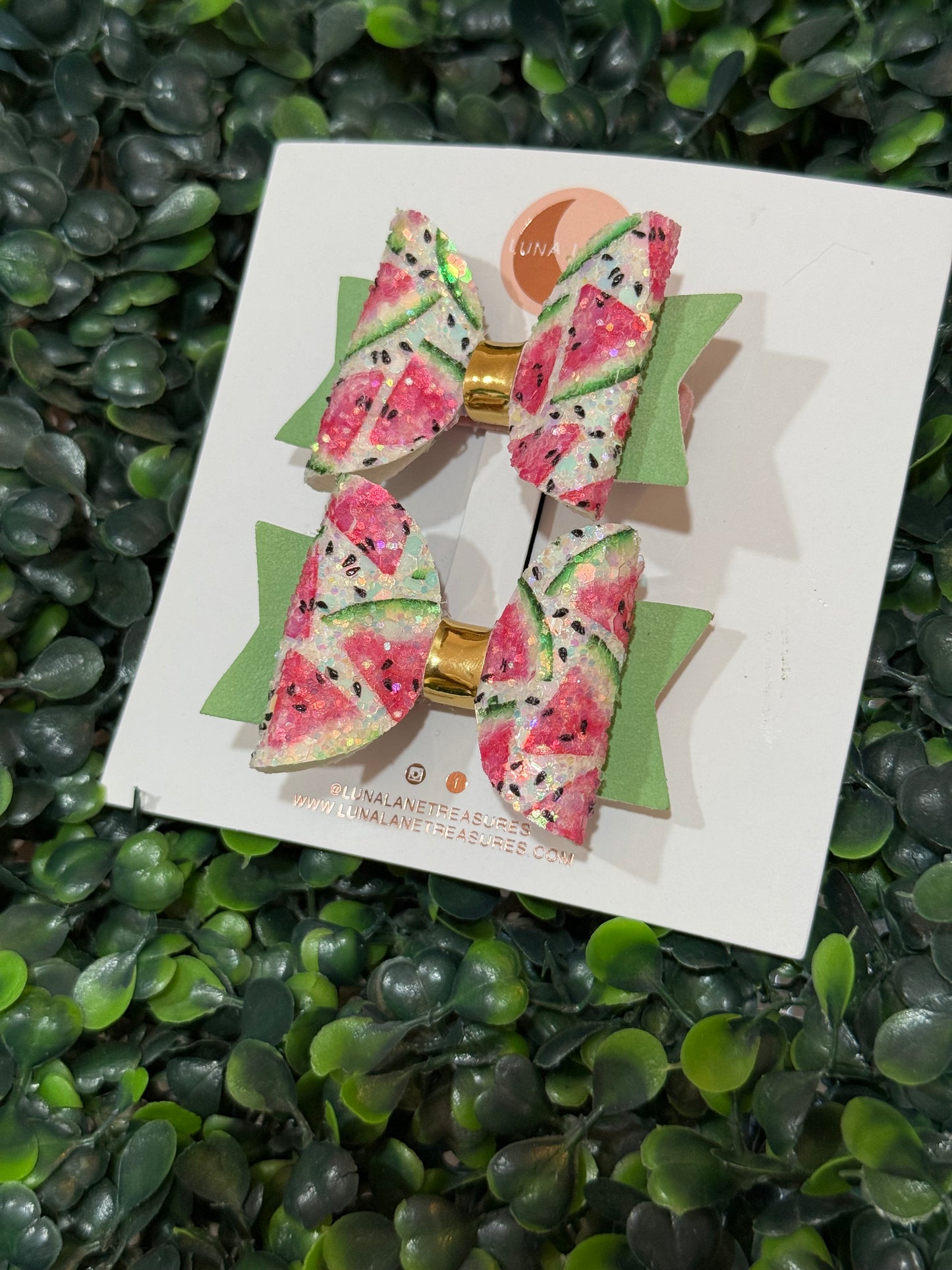 Watermelon Bow Pigtails